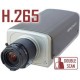 IP Камера B2250