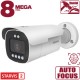 IP камера SV5019RZN